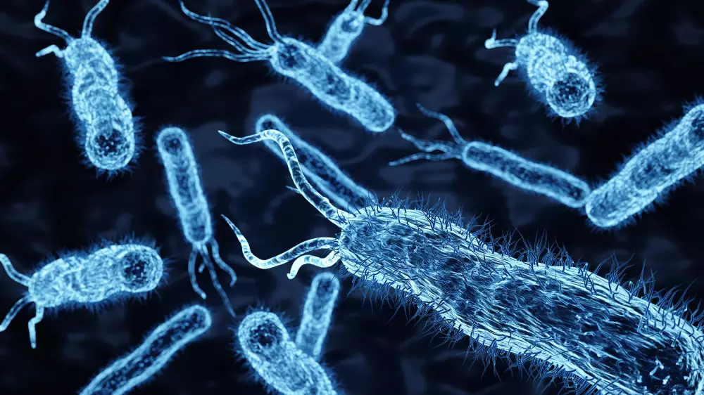 Учёные научились считывать возраст и образ жизни по кишечнику