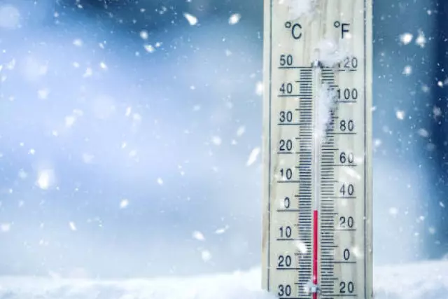 «20 градусқа дейін аяз»: Алдағы күндерге арналған ауа райы белгілі болды