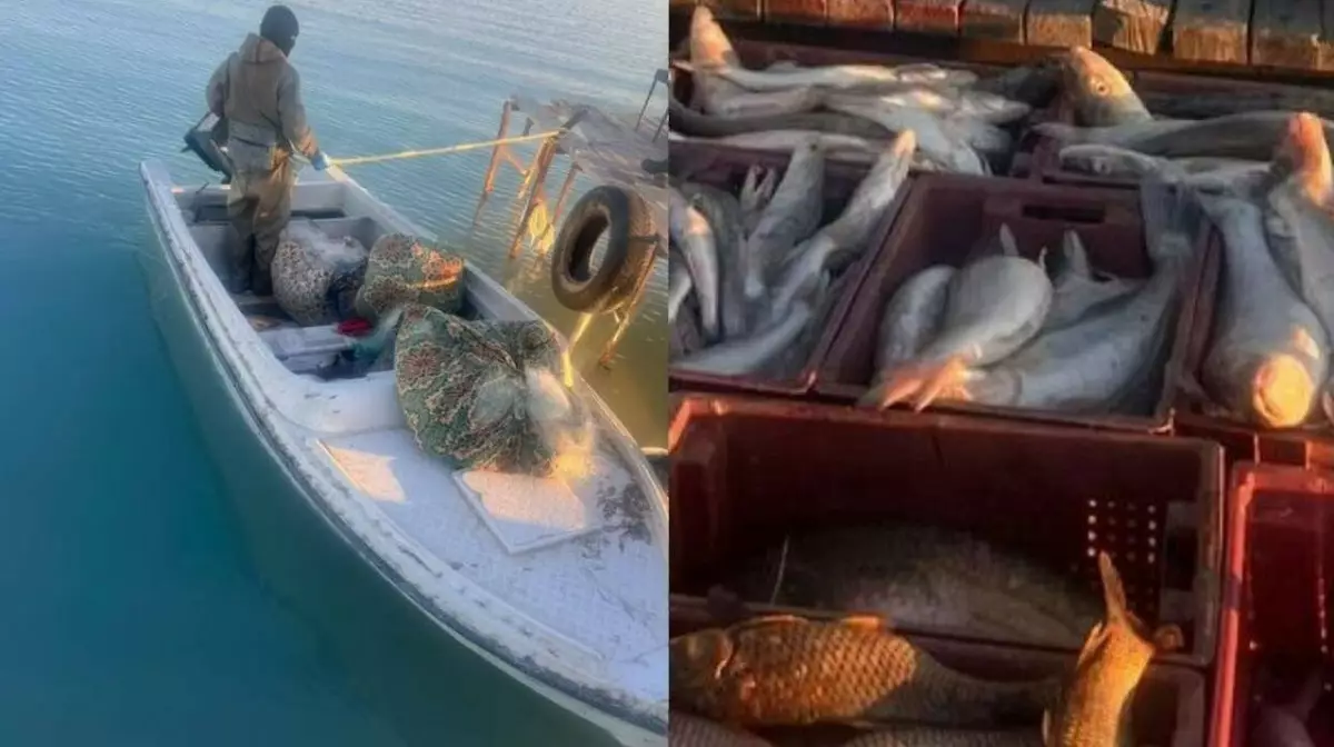 На озере Балхаш задержаны браконьеры с уловом в 252 кг рыбы