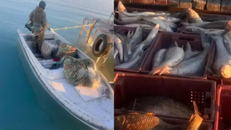 На озере Балхаш задержали браконьеров с крупным уловом