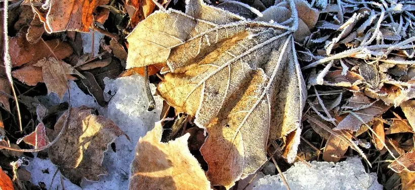 Похолодание до -20 и осадки ожидаются в ближайшие дни в ряде регионов Казахстана