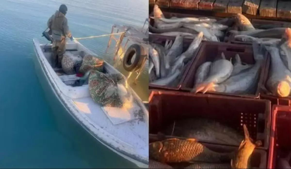 Балқашта балық аулап отырған «балықшылар» күтпеген жағдайға тап болды