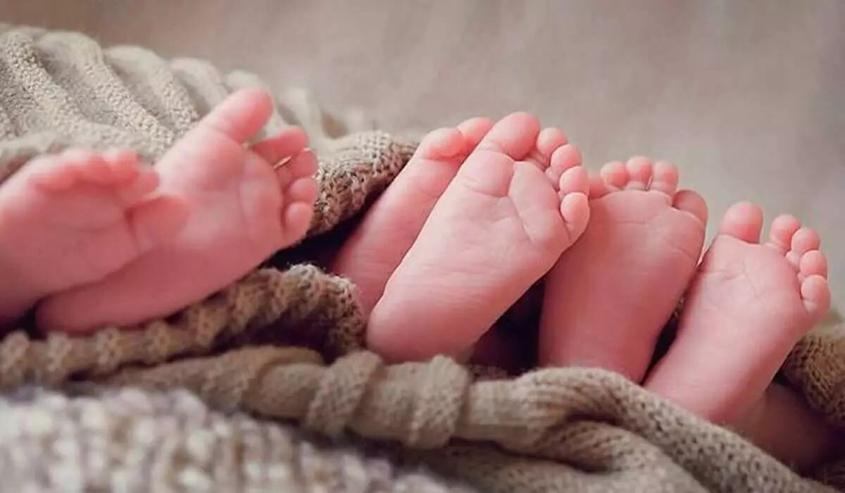 Ақтөбе облысында үшем дүниеге келді