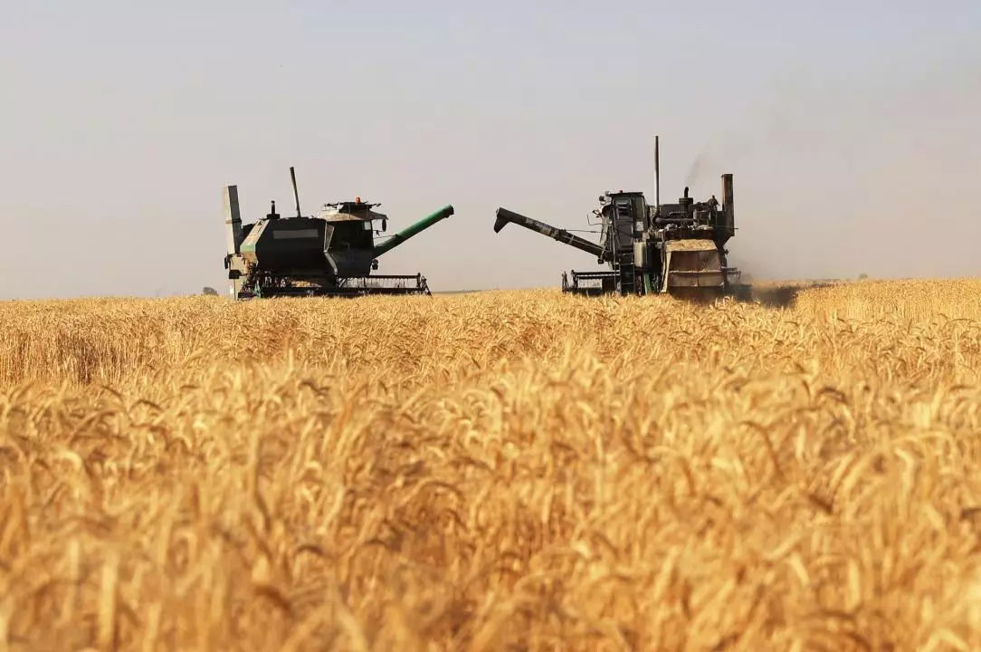 Объем сельскохозяйственного производства в районе Абай в Казахстане вырос благодаря животноводству.