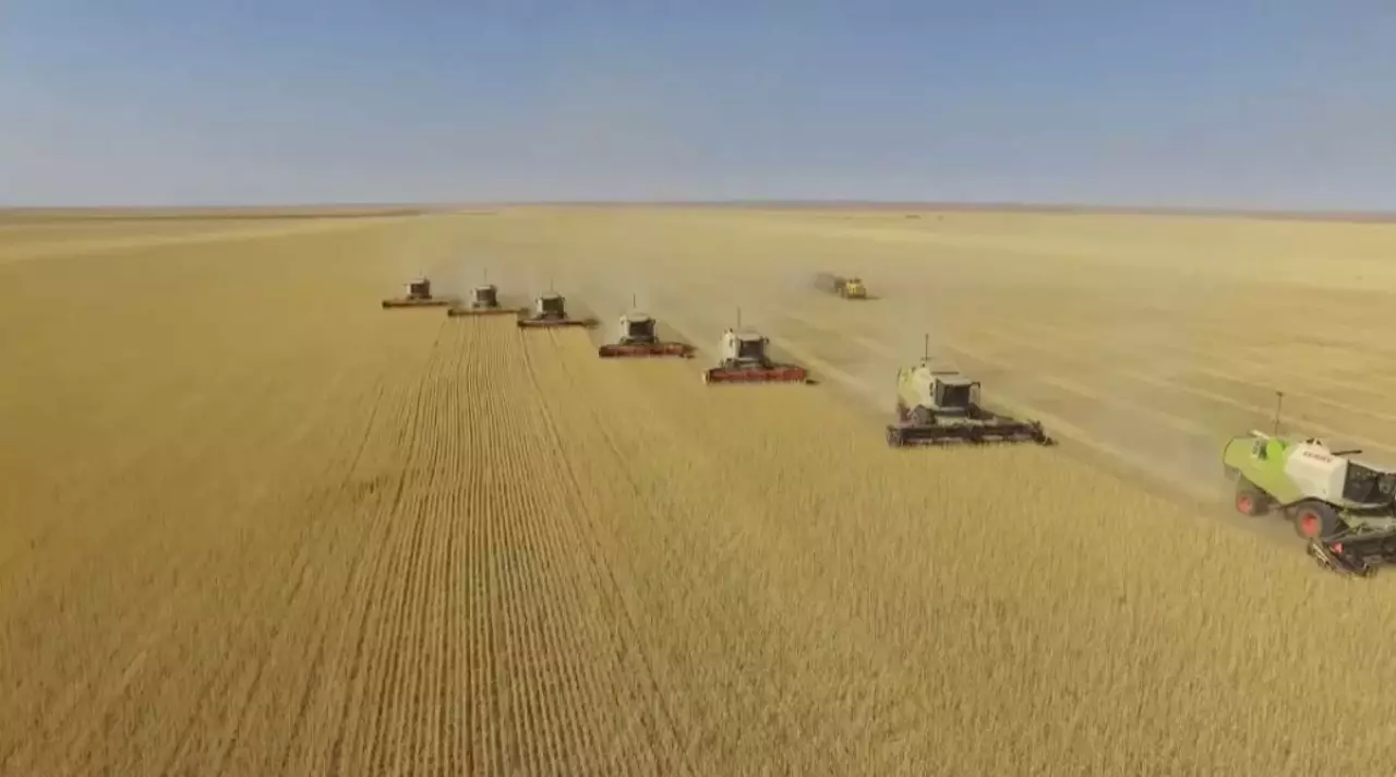 Отандық агроөнімге сыртқы нарық сұранысы қандай?