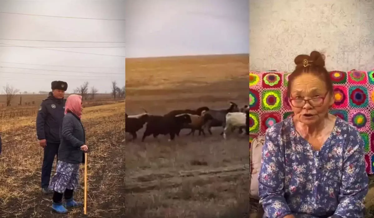 Пожилая актюбинка благословила полицейских, вернуших ей пропавших коз и овец
