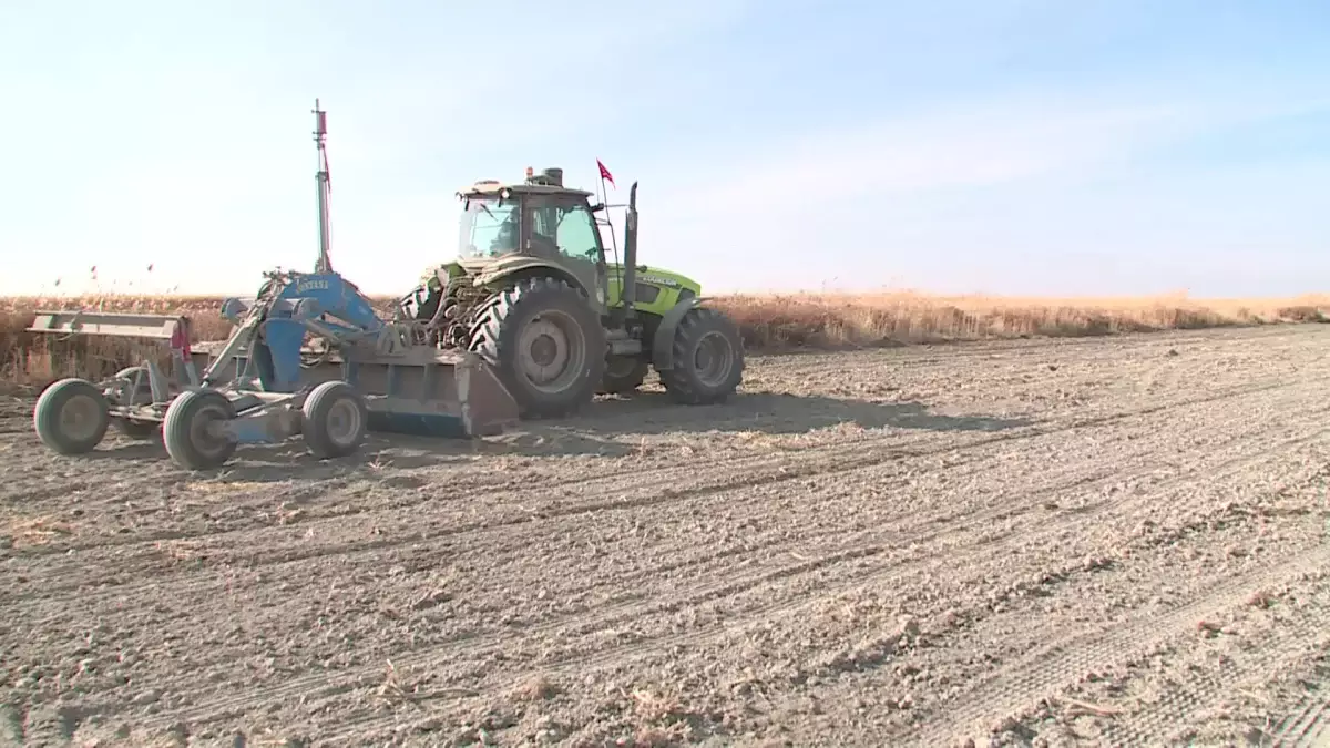 Қызылордада колледж студенттері жер жыртып, теория мен тәжірибені ұштастыруда