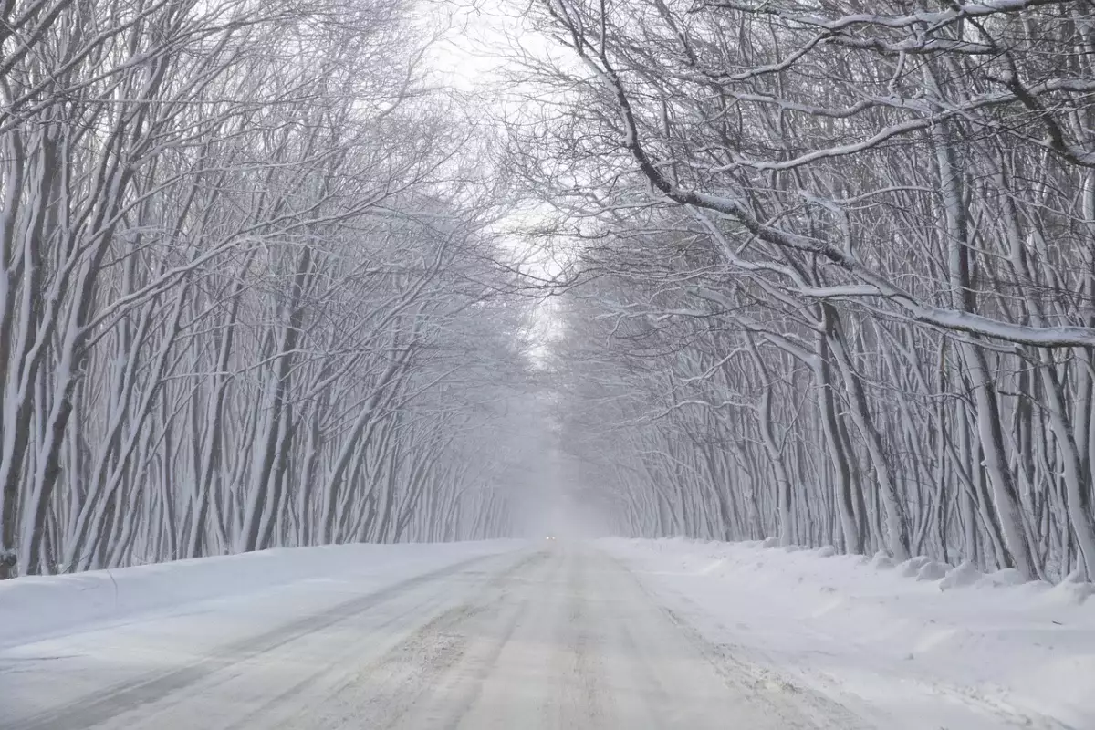 Сильные осадки и порывистый ветер: прогноз погоды в Казахстане на 13 ноября