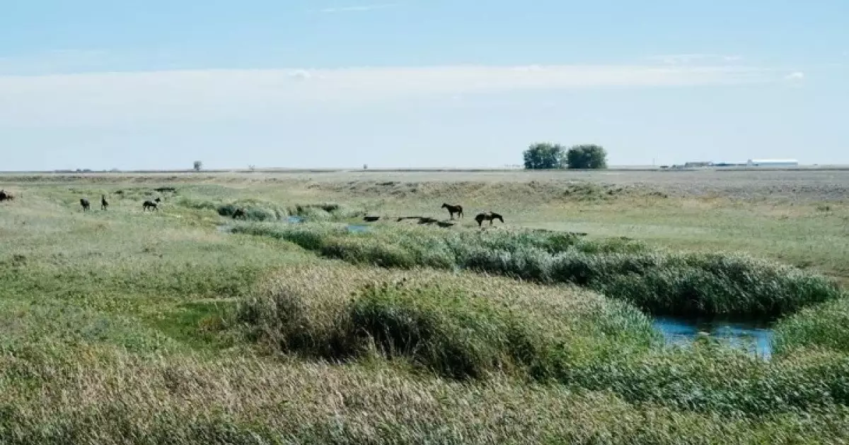  Құны 300 млн теңге тұратын жер заңсыз сатылып кеткен 