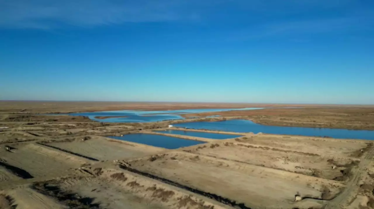 Рыбопитомник восстановил работу в Кызылординской области