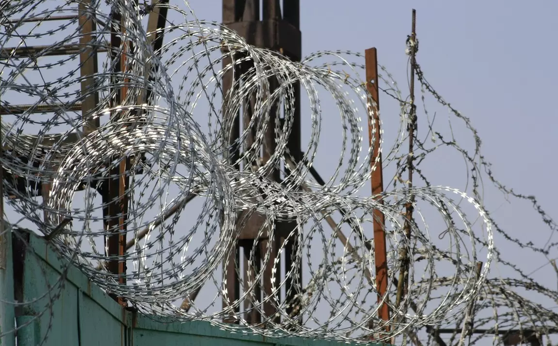 Десятки находившихся на свободе осужденных поместили в колонию в Уральске