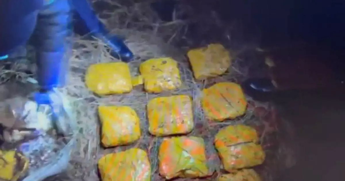  Ақмола тұрғынынан 12 келіден астам «синтетика» тәркіленді 