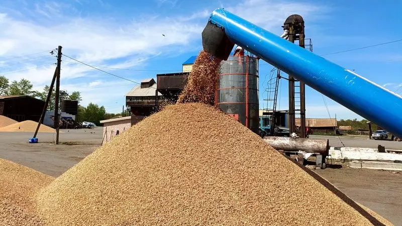 Ақмола облысында астық зауытының құрылысы басталды