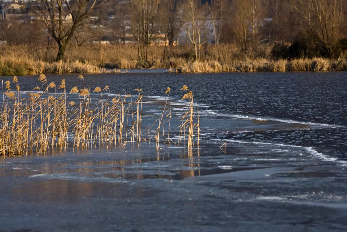 Акмолинская область усилила защиту от паводков: 44 км очищенных рек и новые дамбы