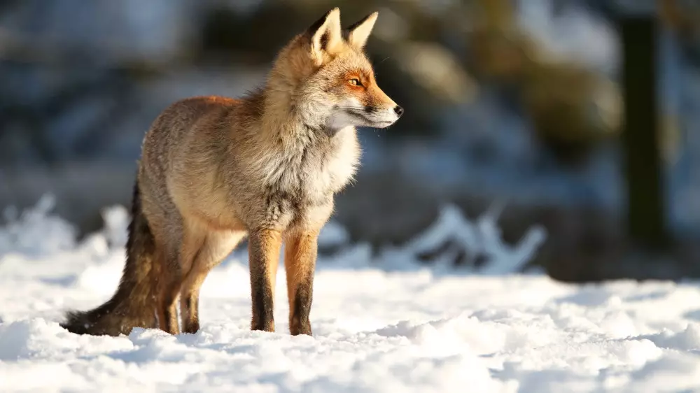 Тепло вернётся в Астану: прогноз погоды на 3 дня