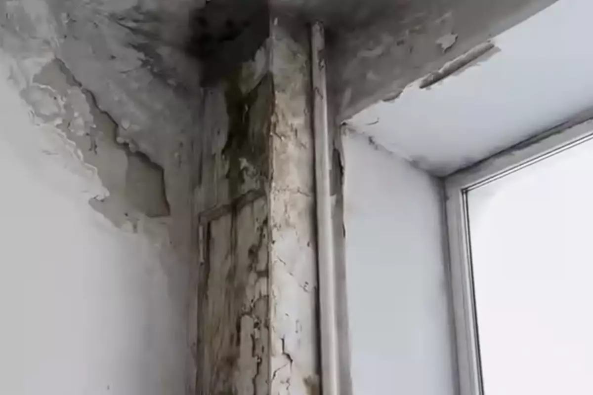 «Әкімдік неге көз жұмып отыр?»: Семейдегі мәдениет үйі қоқыс қоймасын еске салады