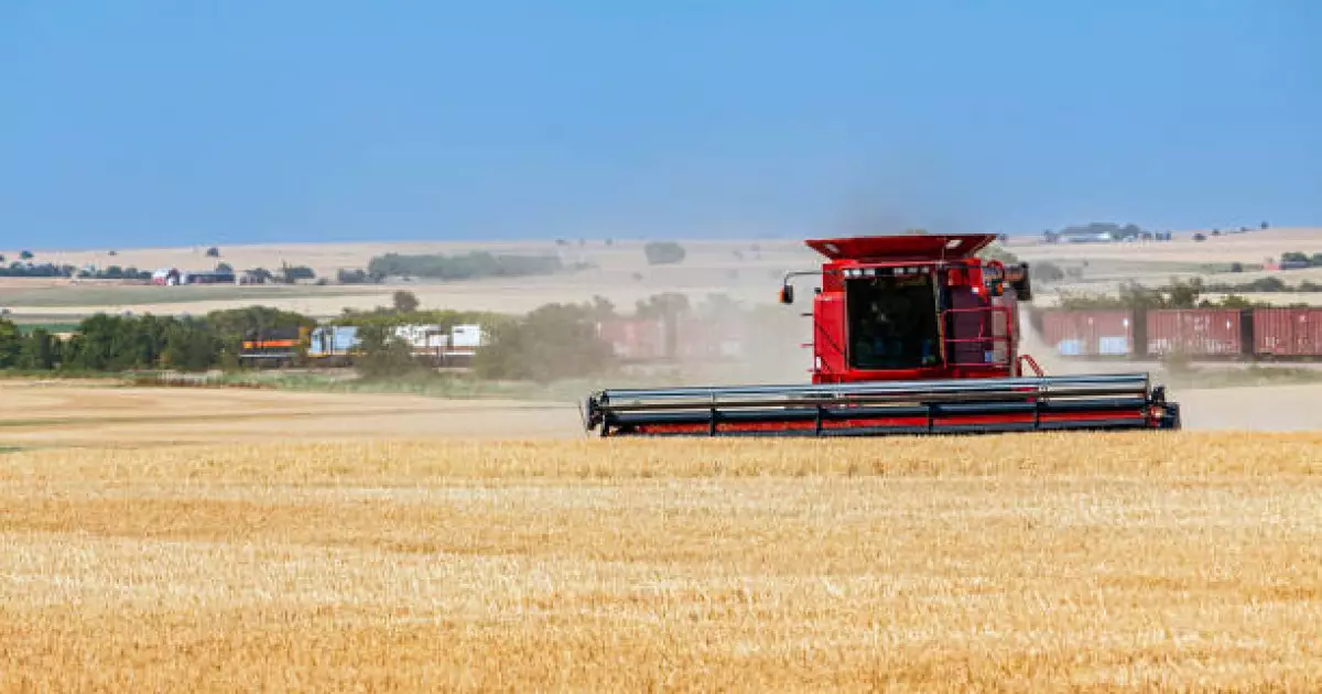   Биыл Ақмола облысы шетелге 3,5 миллион тоннадан астам астық экспорттады   