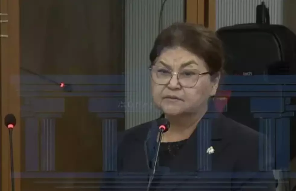 &#171;Кәмпит, мандарин, апельсин саттым&#187;: Бишімбаевтың анасы өзінде 1 миллион доллардың қайдан пайда болғанын түсіндірді