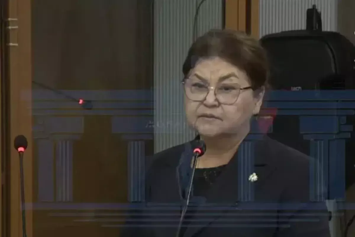 "Кәмпит, мандарин, апельсин саттым": Бишімбаевтың анасы өзінде 1 миллион доллардың қайдан пайда болғанын түсіндірді