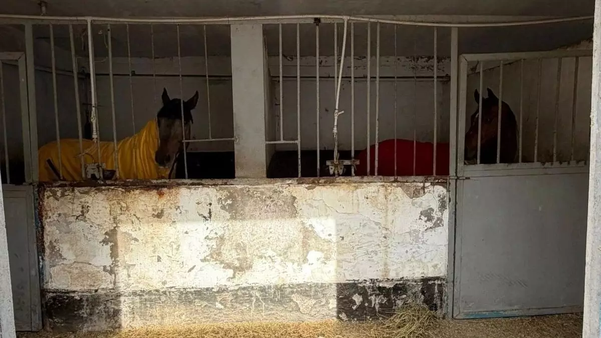 Алматыдағы ипподром мемлекет меншігіне өтетін болды