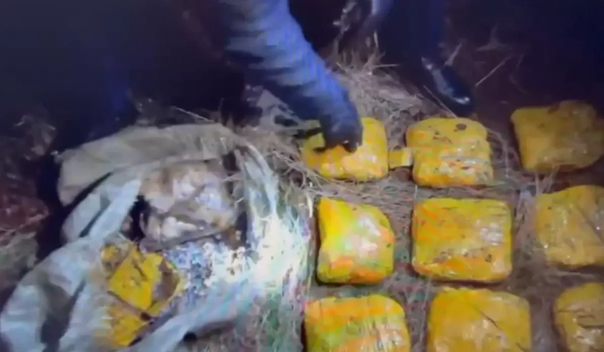 Ақмола облысында ірі көлемде синтетикалық есірткі тасып бара жатқандар ұсталды