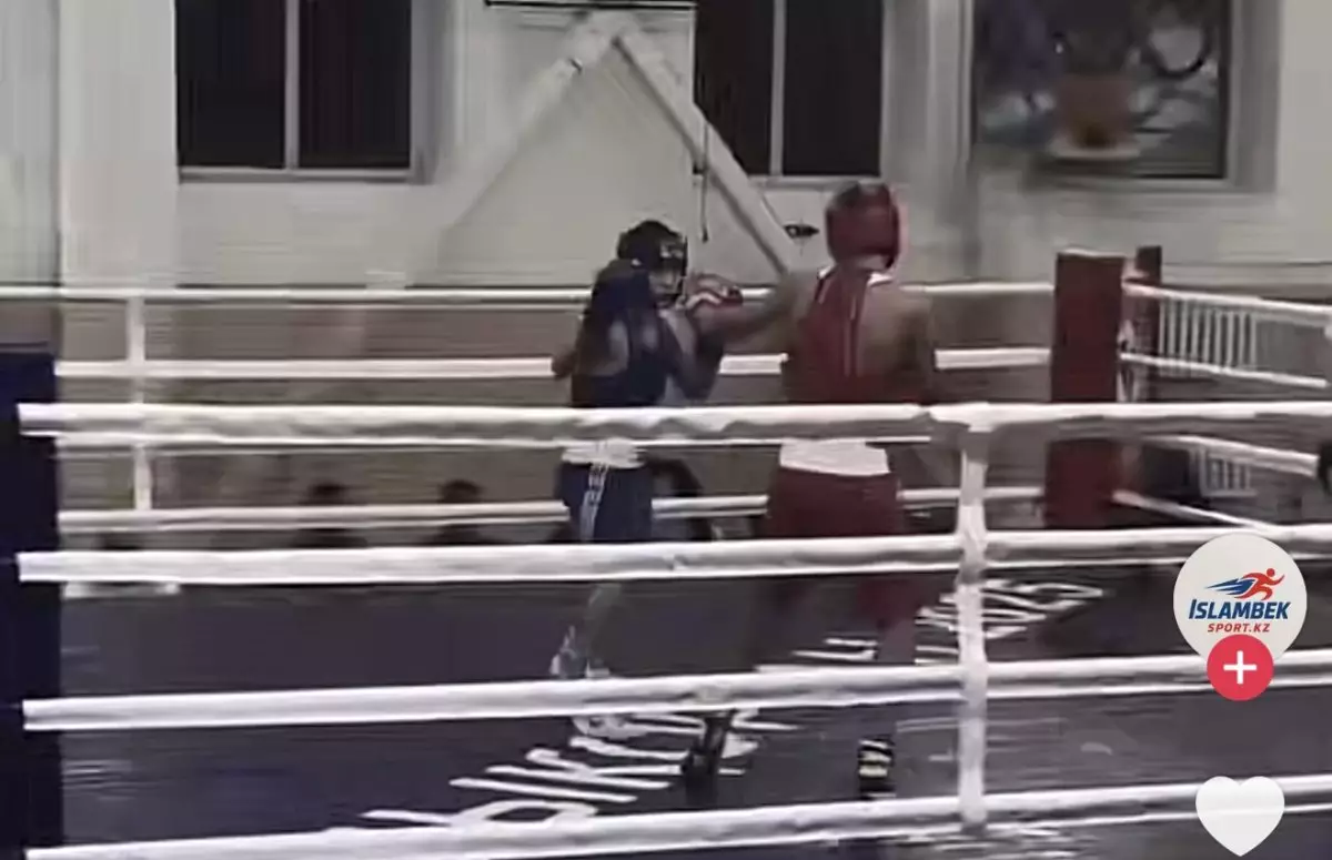 «Қанына тартпай қоймайды екен»: Елеусінов пен Әлімханұлының ұлдары жұдырықтасты (ВИДЕО)