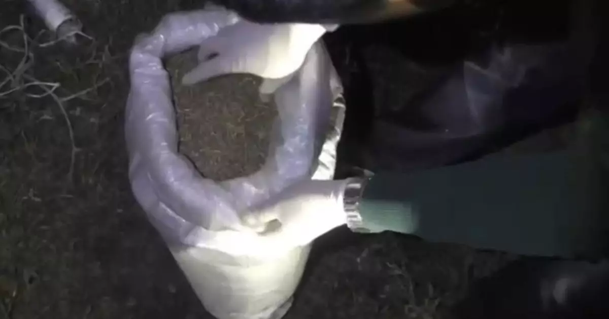   Шуда 50 келіден астам марихуана тасымалдаған екі адам ұсталды   