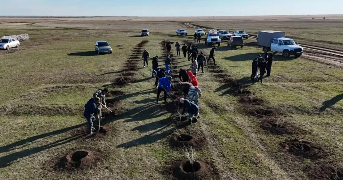  Аймақтың тазалығын сақтау – баршаға ортақ міндет: «Таза бейсенбі» акциясы аясында өңірлерде мыңдаған көшет отырғызылды 