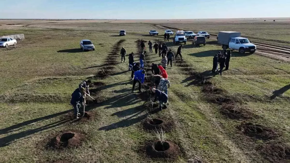 «Таза бейсенбі»: өңірлерде мыңдаған ағаш отырғызылып, ондаған тонна қоқыс жиналды