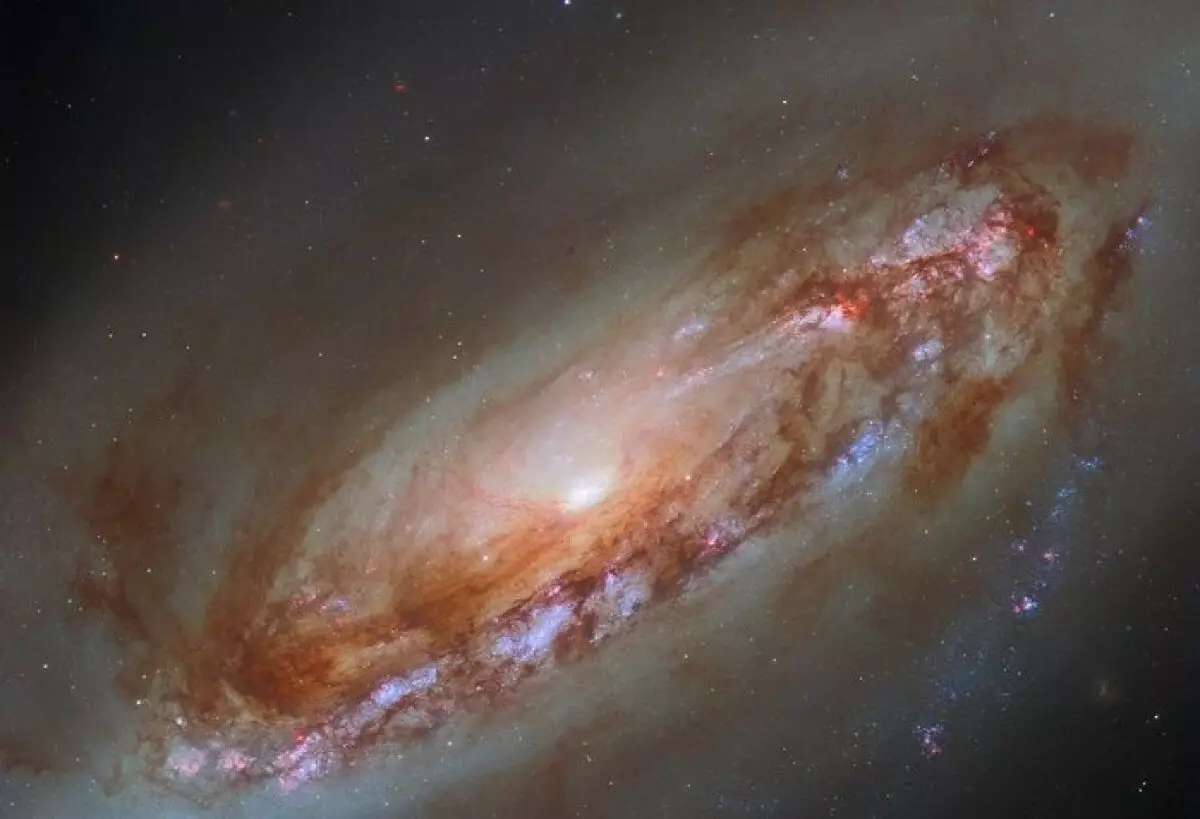 Гороскоп на пятницу 14 ноября: финальный рывок перед заслуженным отдыхом