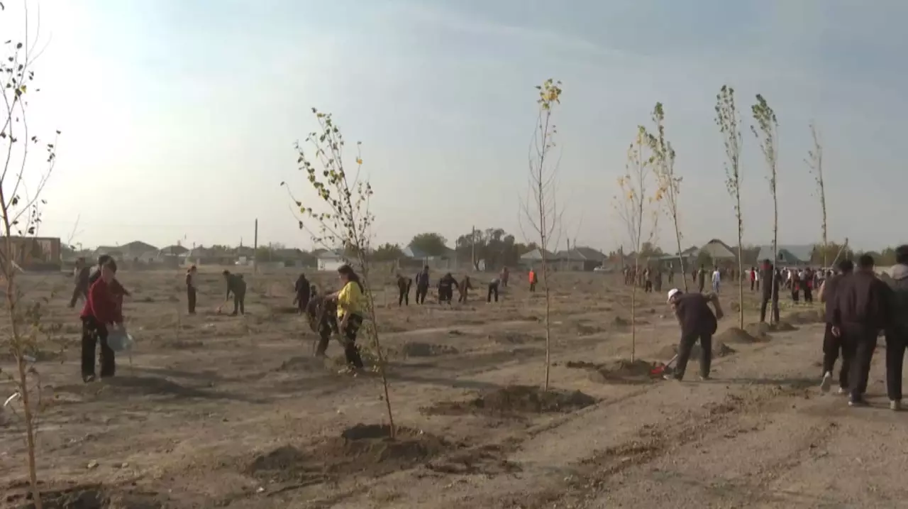 Жамбыл облысында жол жиегі қоқыстан тазартылды