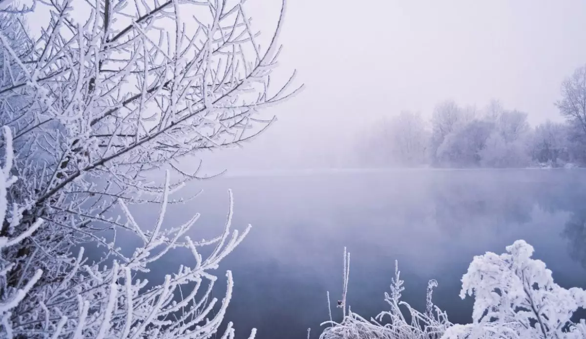 Боран, тұман, көктайғақ - бүгінгі ауа райы болжамы