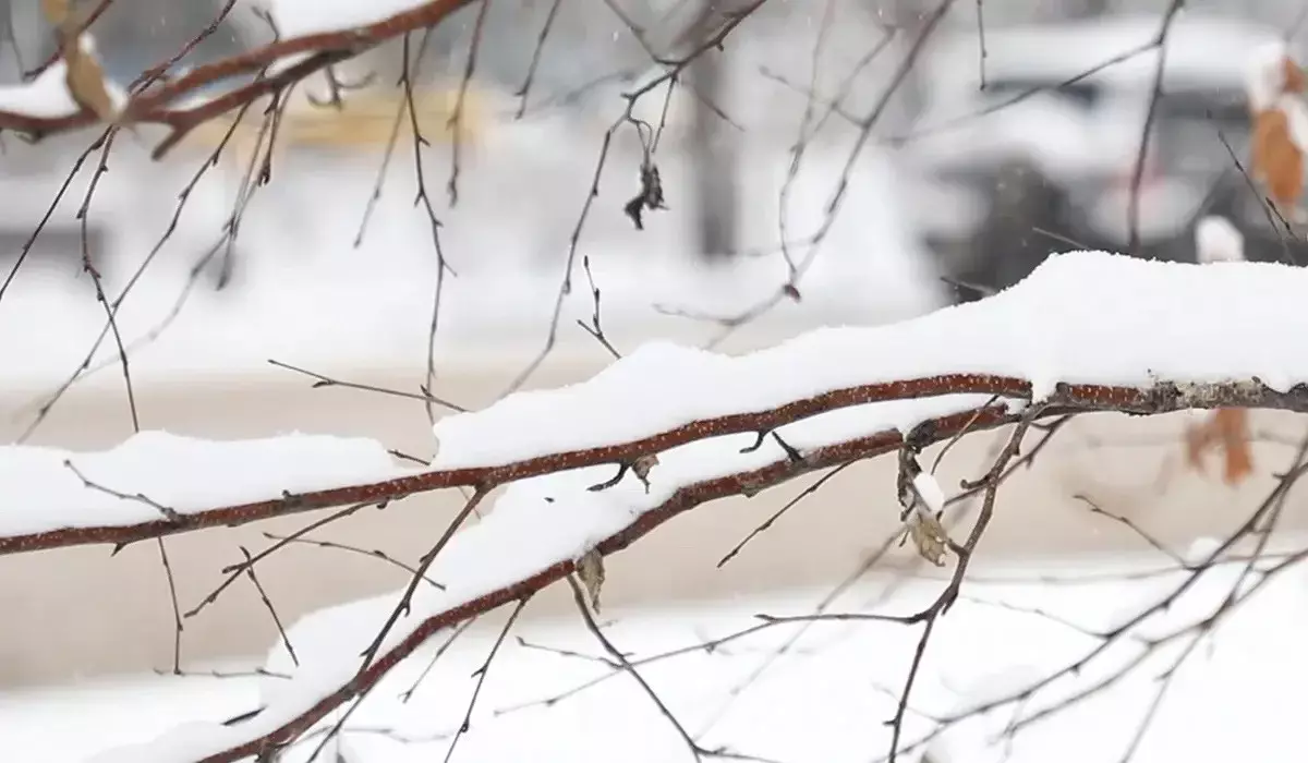 Жұма күнге арналған ауа райы болжамы жарияланды