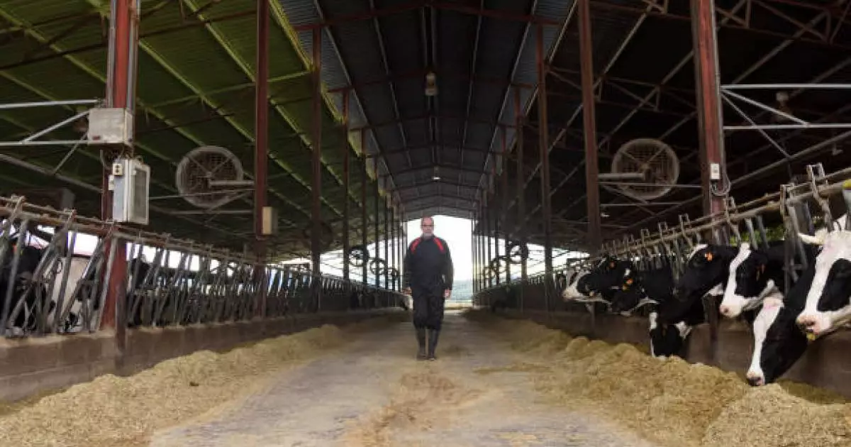  СҚО-да 57 жастағы шаруа қожалығының басшысы өлі табылды 