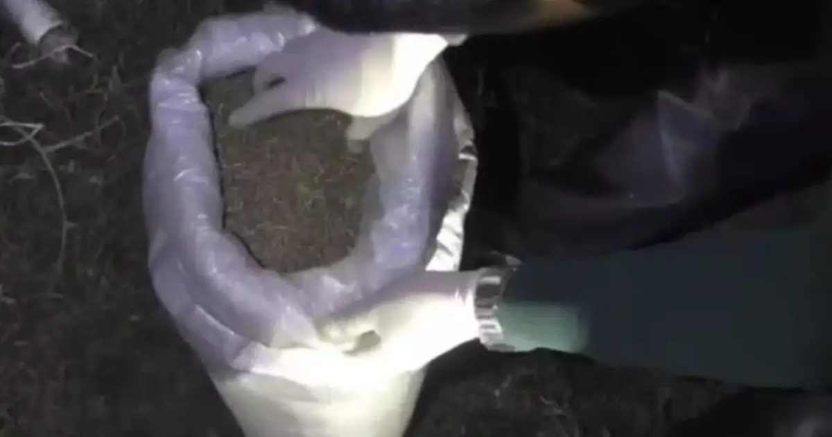  Жамбыл облысында есірткі тасымалдады деген айыппен екі күдікті ұсталды 