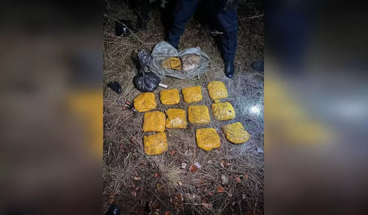 Задержание казахстанца с крупной партией мефедрона в 12,5 кг сняли на видео