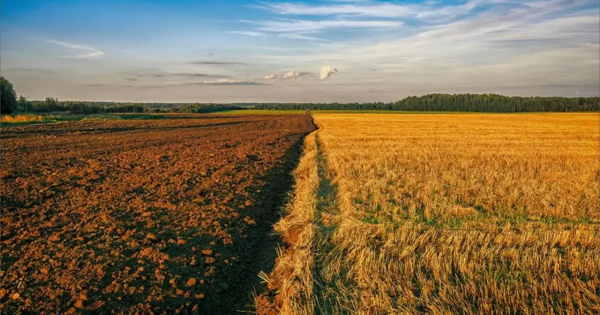  Жайылымдық жерлер ауыл тұрғындарына және нақты жоспары бар инвесторларға берілуге тиіс – Тоқаев 