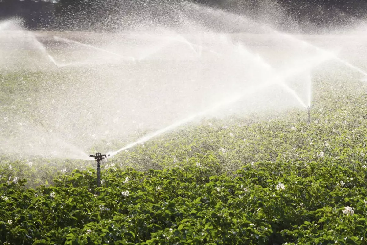 Токаев потребовал ускорить модернизацию ирригации и экономить воду в сельском хозяйстве