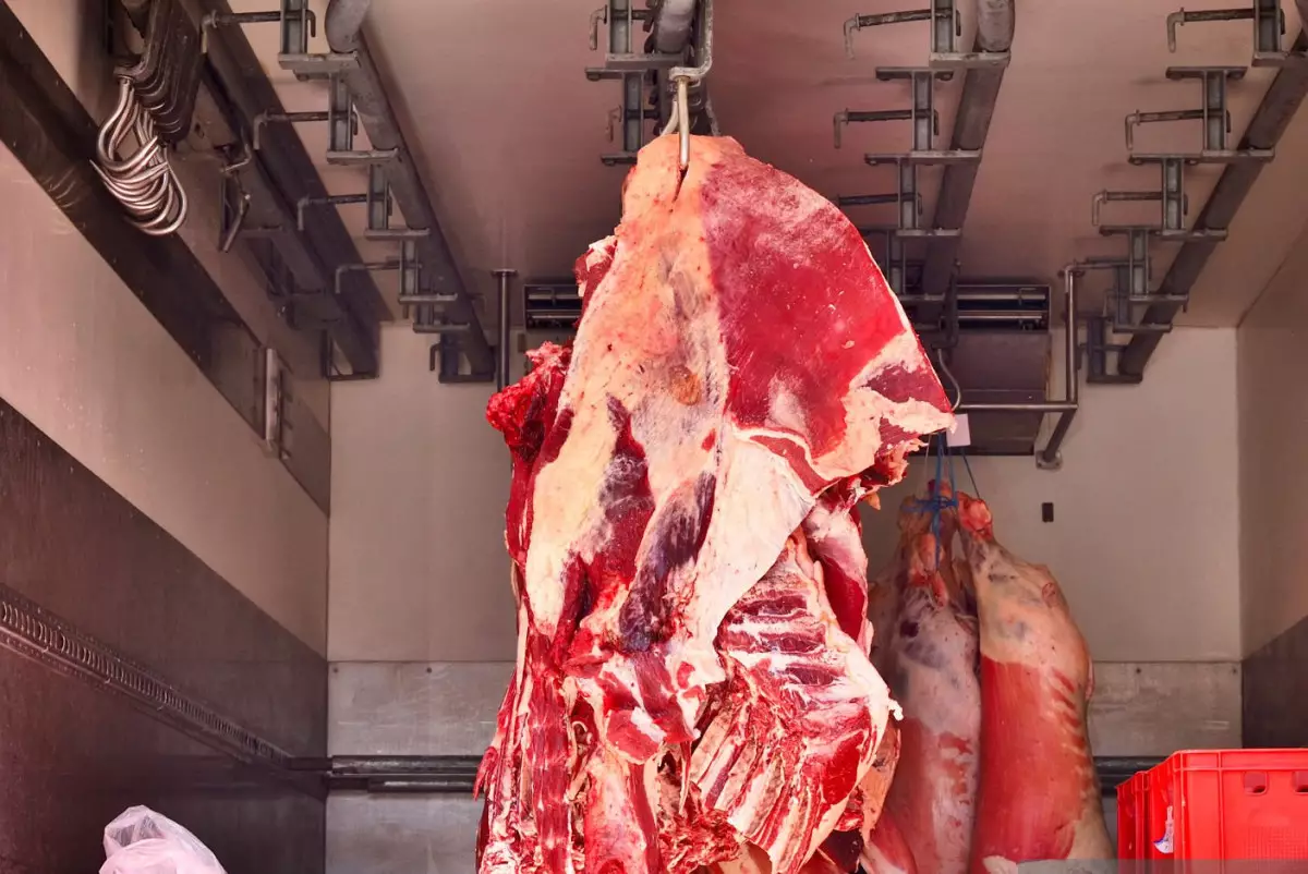 Казахстан готов стать крупным экспортером мяса