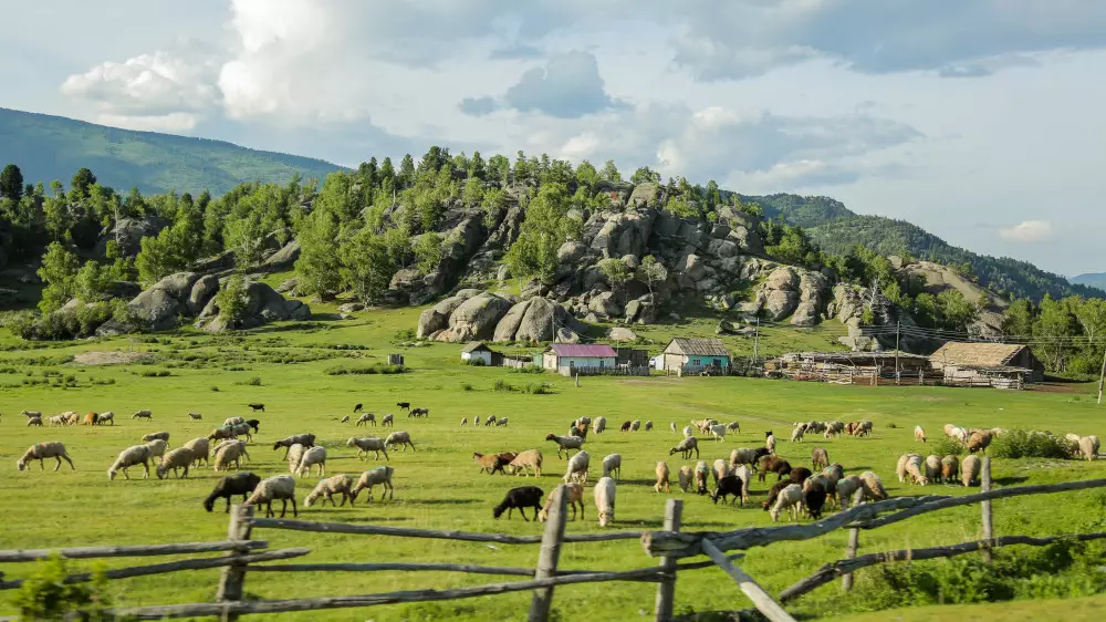 Президент Токаев призвал бизнесменов вкладываться в родные села и регионы