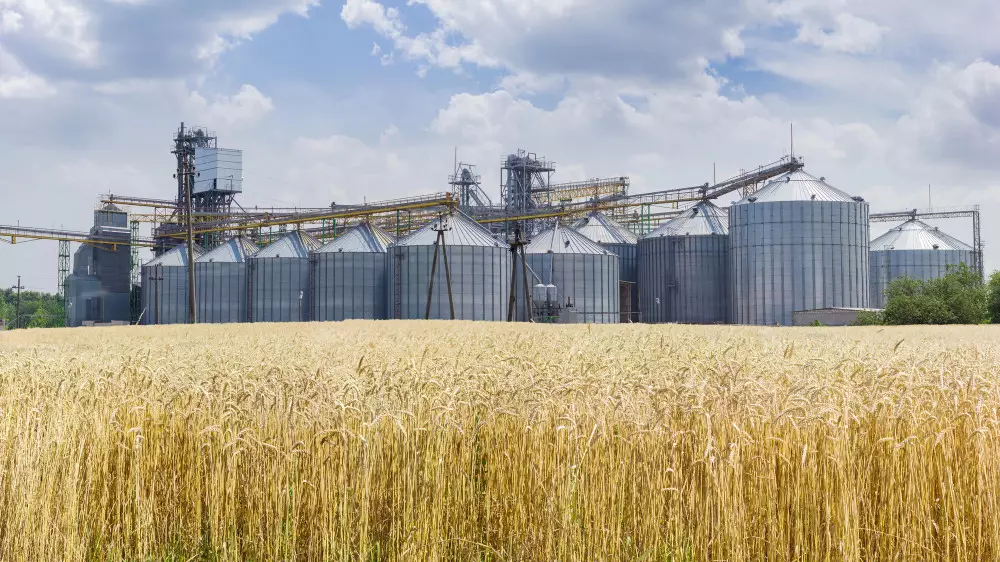 Токаев поручил приступить к строительству новых элеваторов