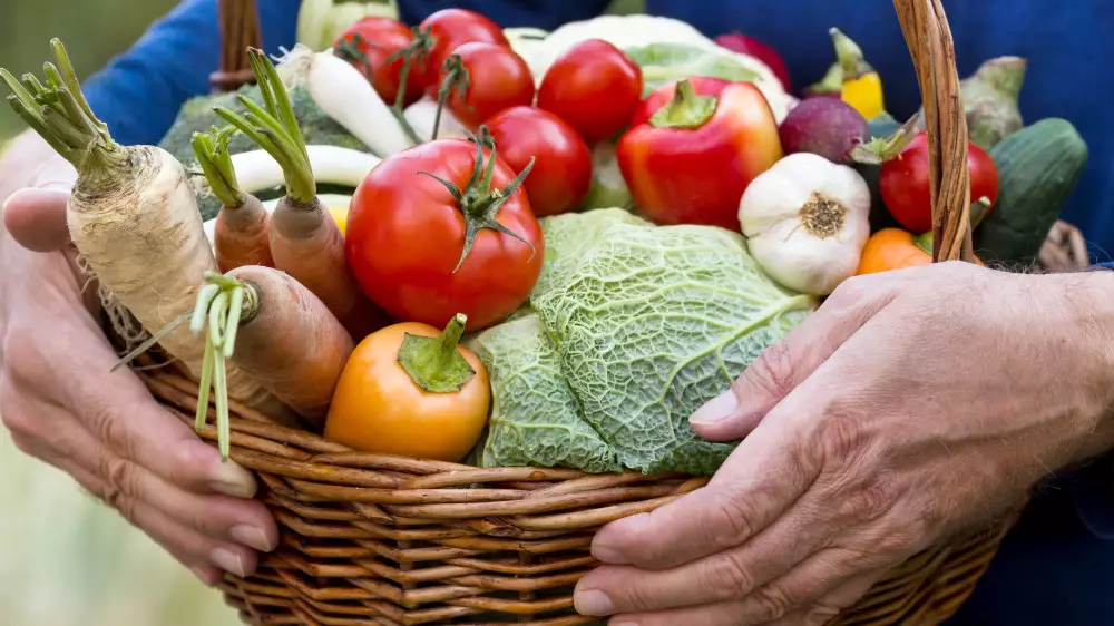 Токаев призвал продвигать в мире бренд Qazaq Organicfood