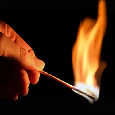 За поджог флага и изображения иностранного лидера в Алматинской области наказали 20 человек