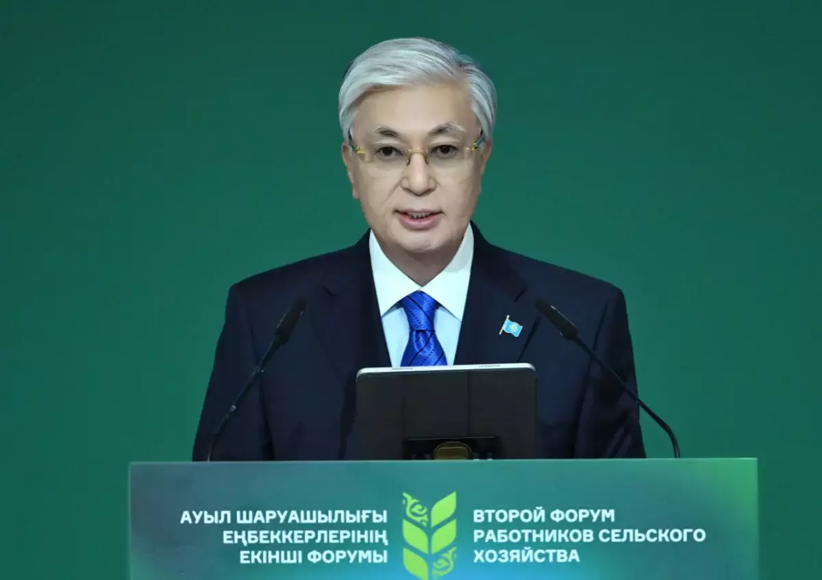 Токаев призвал бизнесменов инвестировать в родные села и регионы