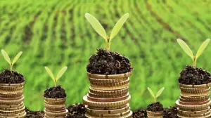 Ауыл шаруашылығына берілген жеңілдетілген несие көлемі тарихта алғаш рет 1 триллион теңгеден асты