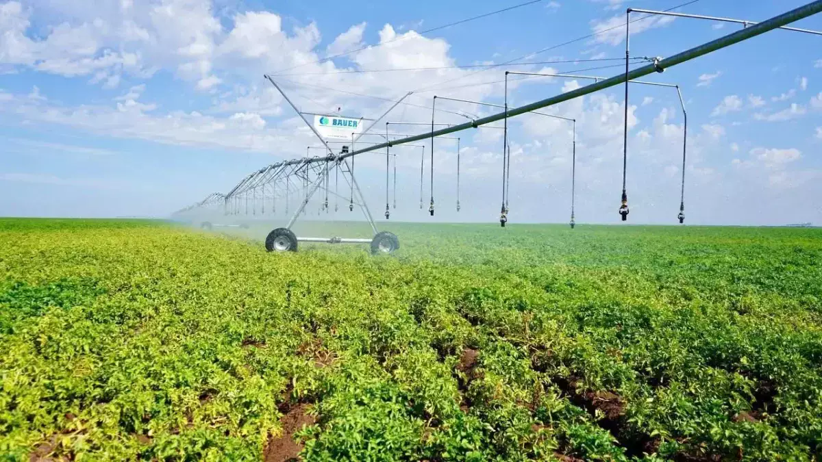 Глава государства: «Нужно повысить водоэффективность, осуществить модернизацию ирригационных сетей»