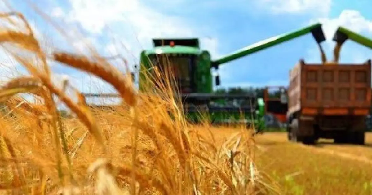  Қазақстанда рекордтық 27,1 млн тонна астық жиналды 