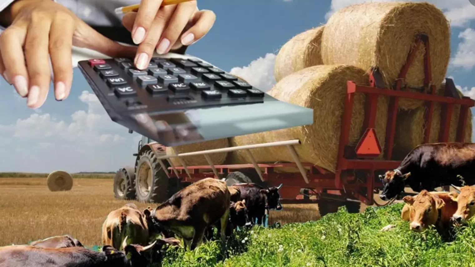 Ауыл шаруашылығында мамандар жетіспейді деді Тоқаев.