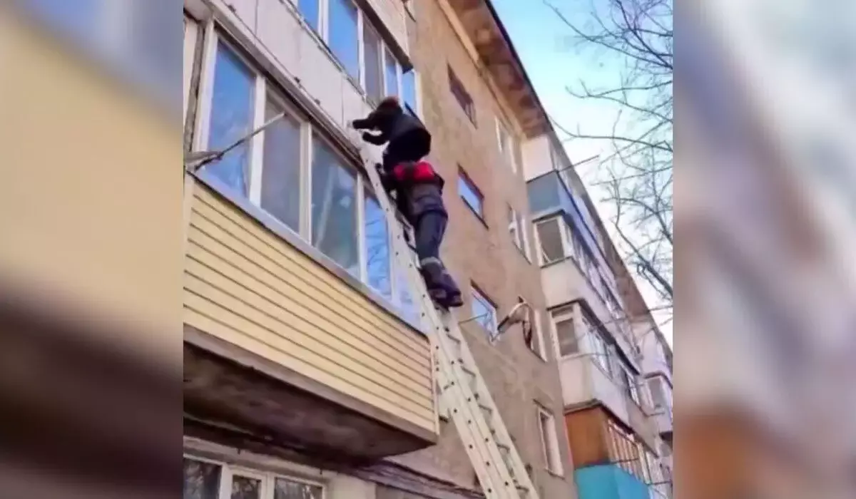 Мальчик едва не погиб, спасая кошку в Караганде (ВИДЕО)