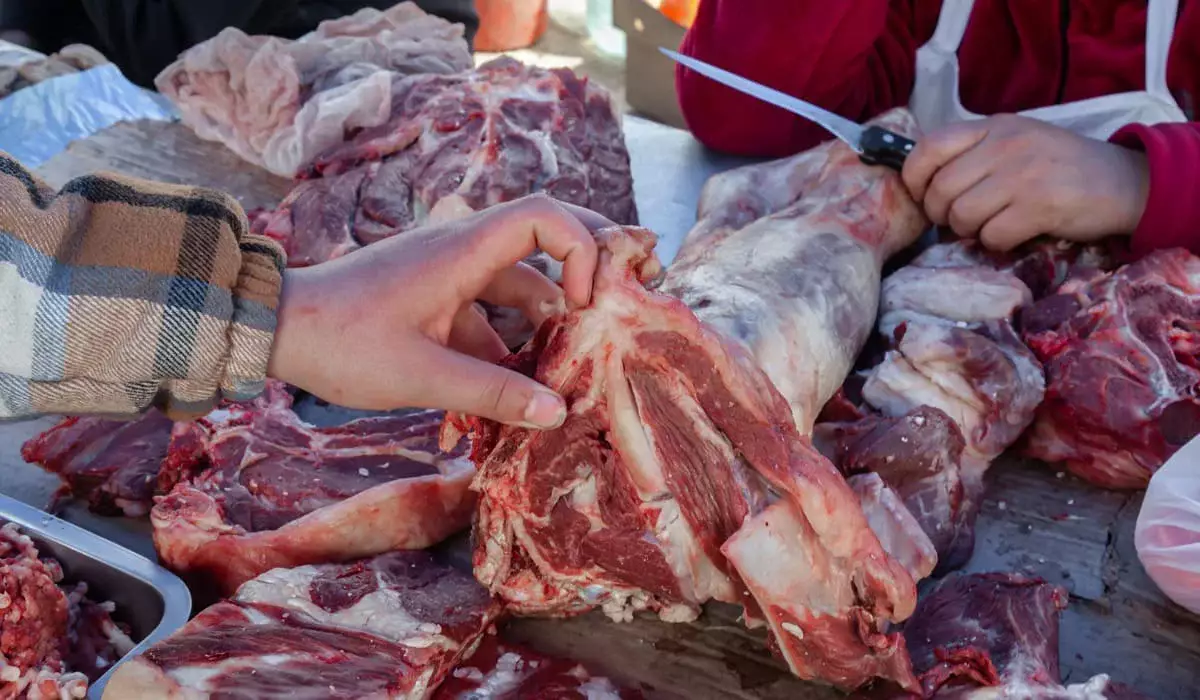 Штрафы за торговлю мясом без документов отменили в Костанайской области